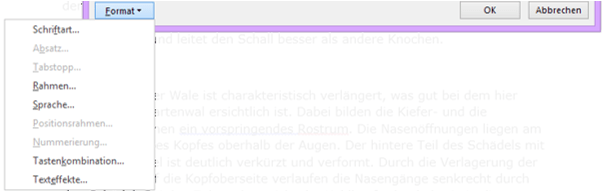 WTipp Formatvorlagen ändern 3